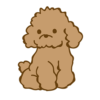 トイプードル