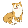 秋田犬