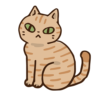 茶毛の猫