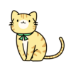 お座り子猫