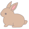 ウサギ