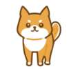 柴犬-1