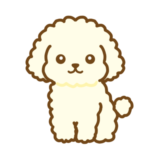白プードル